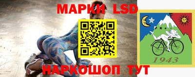 твердый Бийск