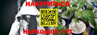 твердый Бийск