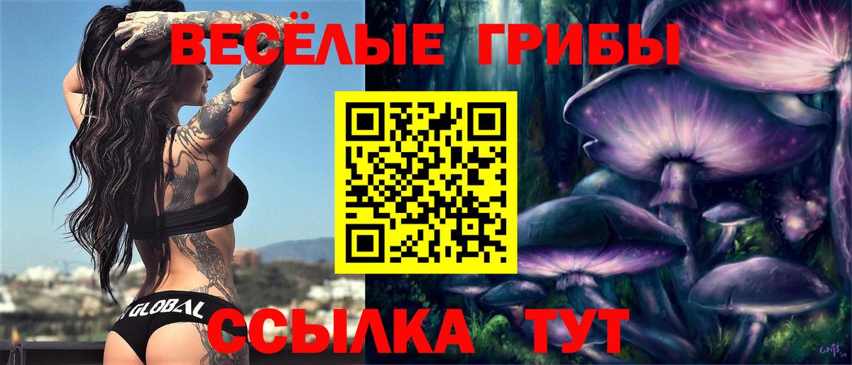 Галлюциногенные грибы Cubensis  Вход с VPN  Ипатово 