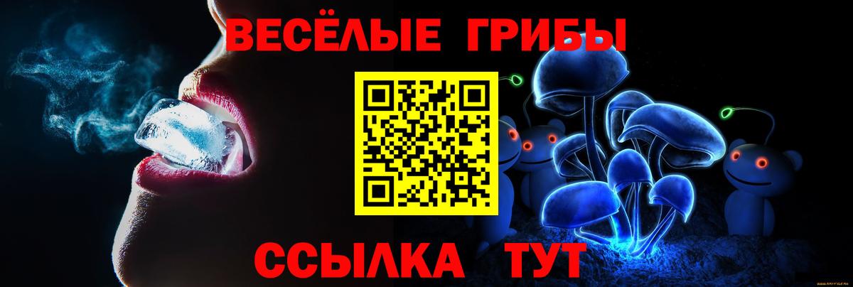 Псилоцибиновые грибы Psilocybe Ипатово